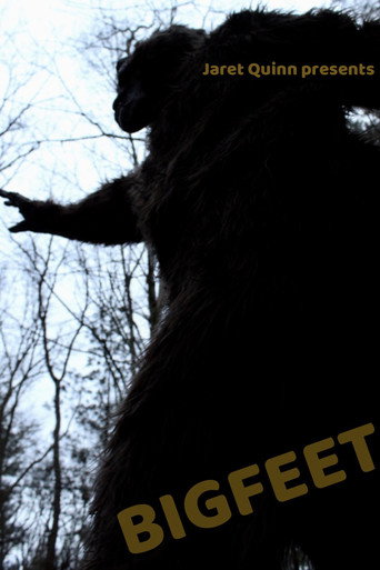 BIGFEET movie poster