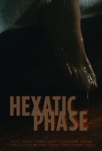 Hexatic Phase movie poster