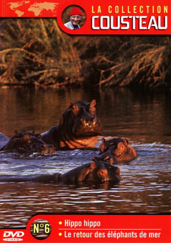 The Cousteau Collection N°6-1 | Hippo, Hippo movie poster