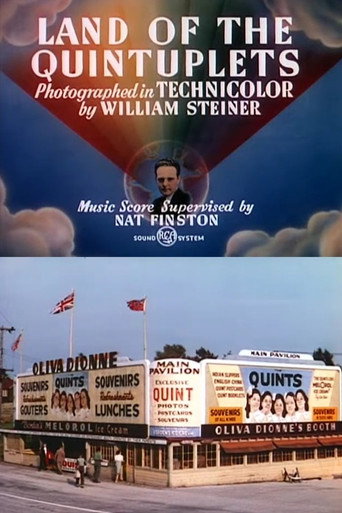 Land of the Quintuplets movie poster