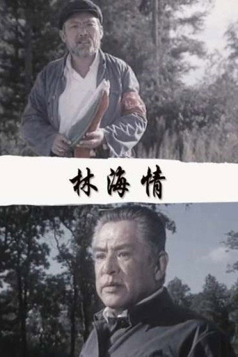 林海情 movie poster