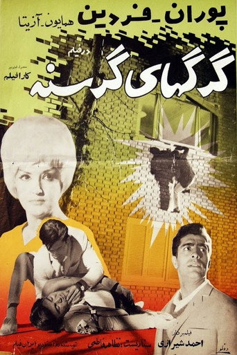 Hungry Wolves movie poster