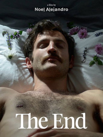 The End movie poster