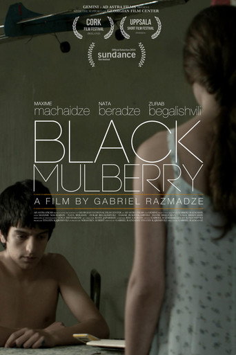 Black Mulberry movie poster