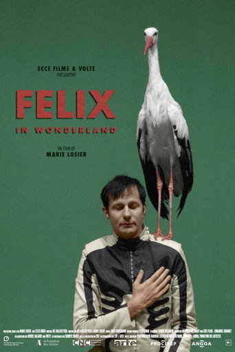 Felix in Wonderland movie poster