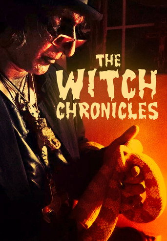 The Witch Chronicles movie poster