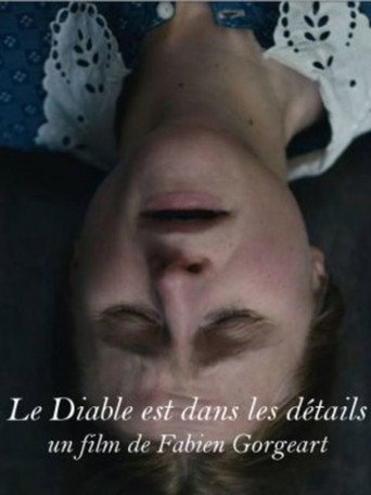 The Devil is in the Details movie poster