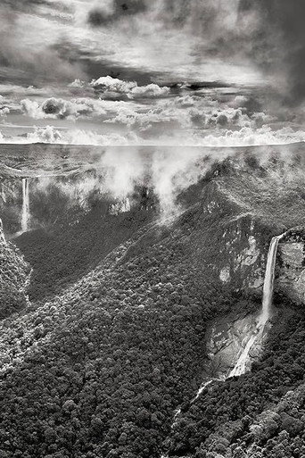 Planeta Amazônia movie poster