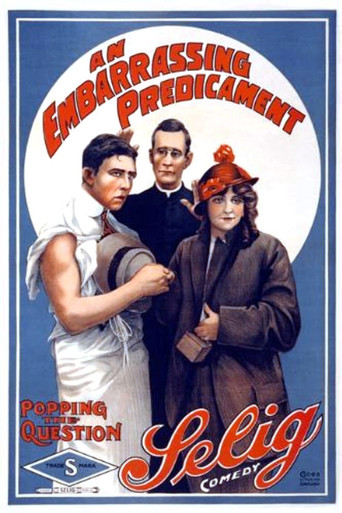An Embarrassing Predicament movie poster