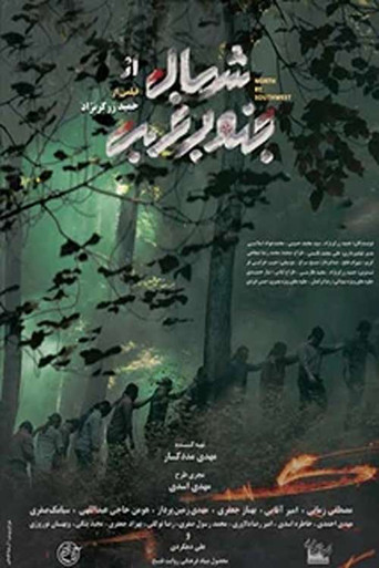 North by Southwest movie poster