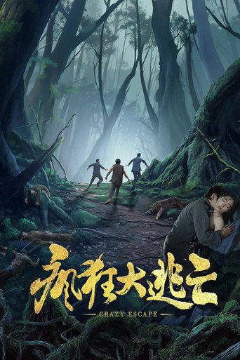 疯狂大逃亡 movie poster