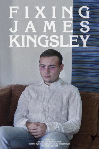 Fixing James Kingsley movie poster