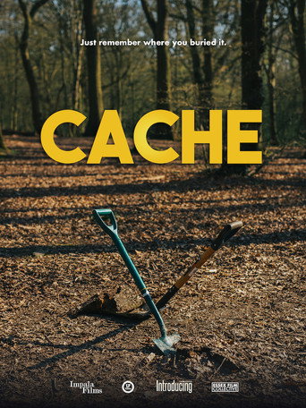 Cache movie poster