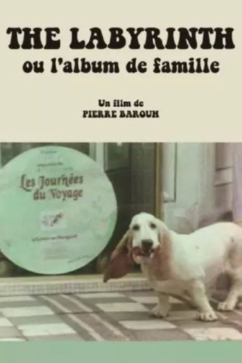 The Labyrinth ou L'album de famille movie poster