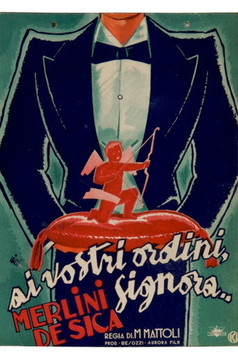 Ai vostri ordini, signora... movie poster