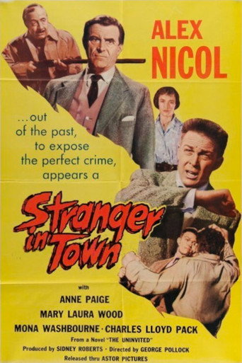 Stranger in Town movie poster