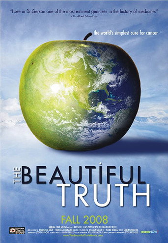 The Beautiful Truth movie poster