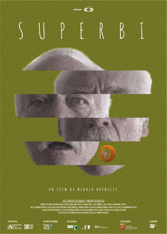 Superbi movie poster