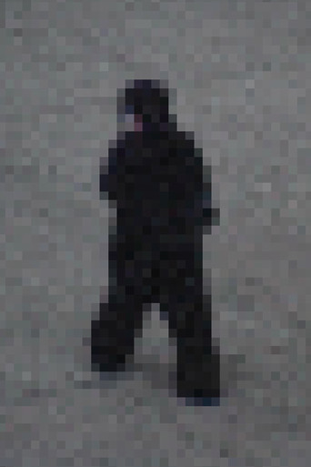 Gorilla Gorilla movie poster