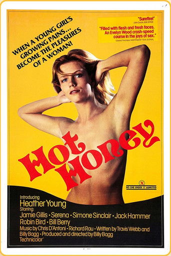 Hot Honey movie poster