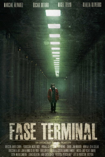 Terminal Phase movie poster