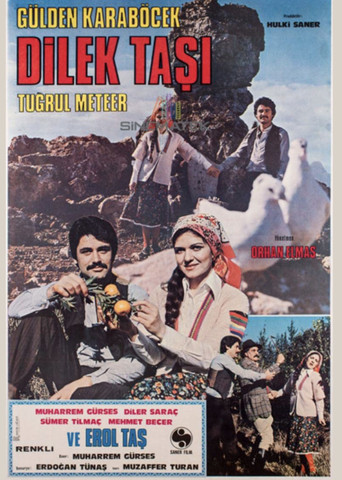 Dilek Taşı movie poster