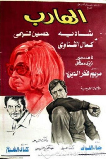 The Fugitive movie poster