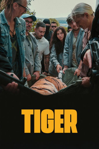 Day of the Tiger movie poster