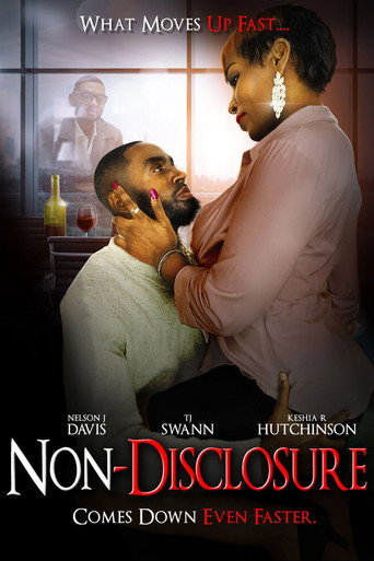 Non-Disclosure movie poster