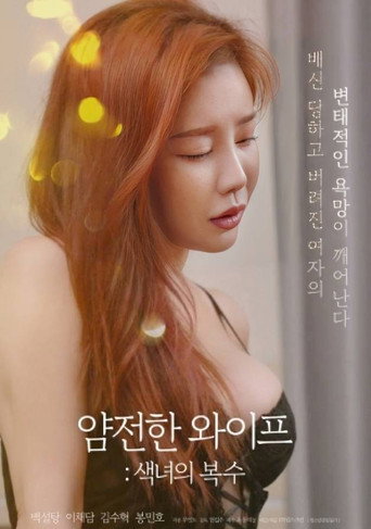 Gentle Wife: Revenge of the Slut movie poster