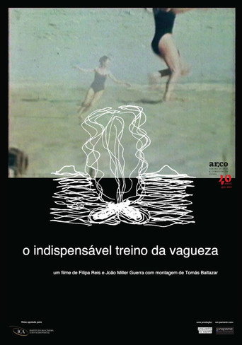 The Indispensable Practice of Vagueness movie poster