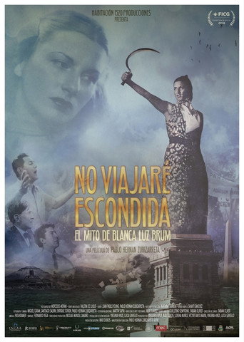 I will not travel hidden movie poster
