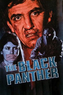 The Black Panther movie poster
