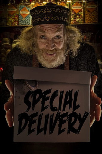 Special Delivery movie poster