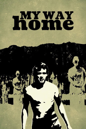 My Way Home movie poster