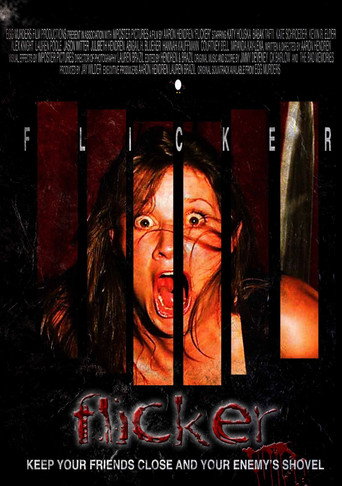 Flicker movie poster
