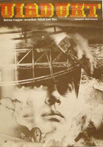 The Train Killer movie poster