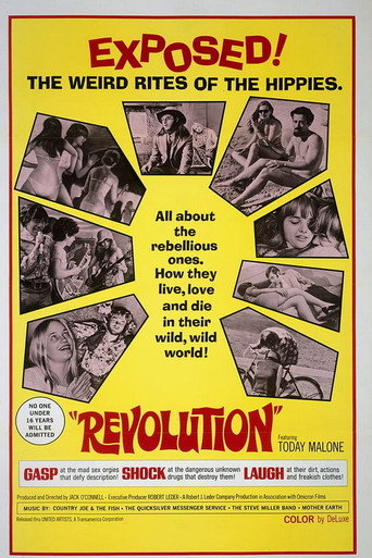 Revolution movie poster