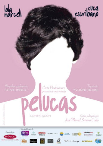 Wigs movie poster
