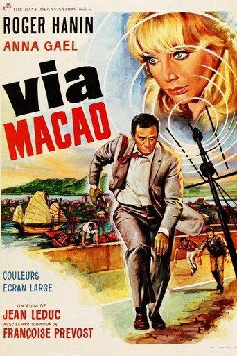 Via Macau movie poster