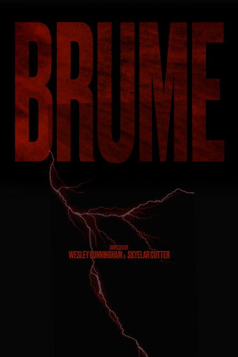 BRUME movie poster