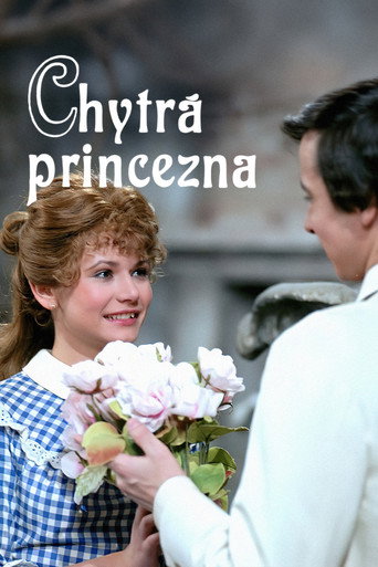 Chytrá princezna movie poster