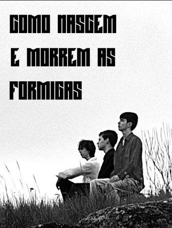 Como Nascem e Morrem as Formigas movie poster
