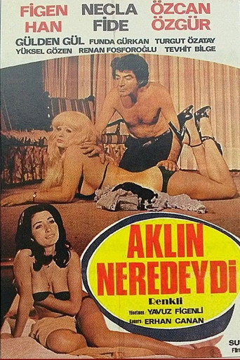 Aklın Neredeydi movie poster