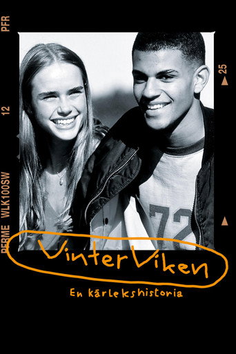 Vinterviken movie poster