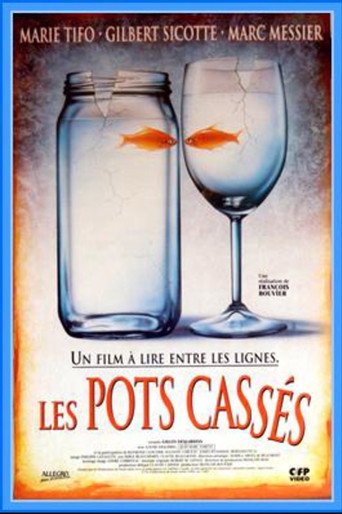 Life Is Not a Novel movie poster