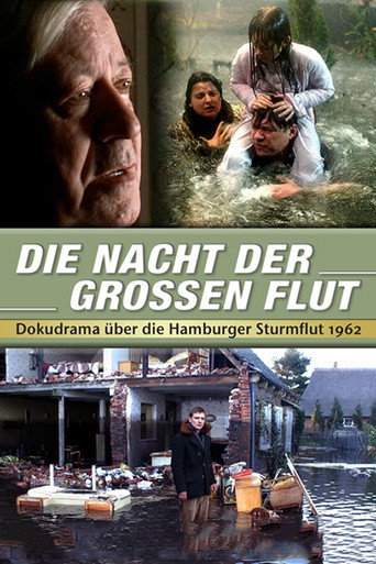 Die Nacht der großen Flut movie poster