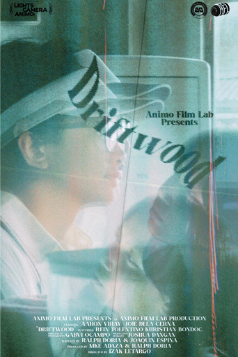 Driftwood movie poster
