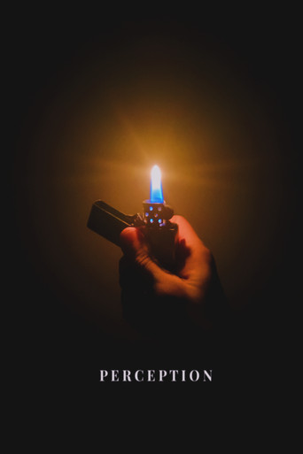 Perception movie poster
