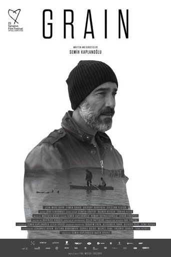 Buğday movie poster